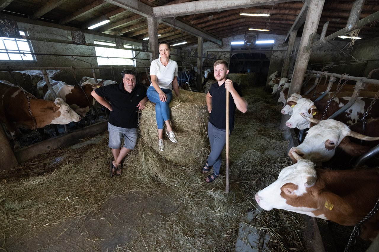 Beratungsdienst: Regeln für ein langes und glückliches Leben aus der Landwirtschaft