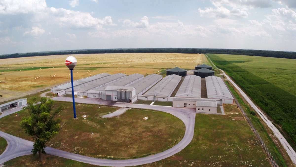 Die Katastrophe auf der Sokolovac-Farm ist ein Versagen der staatlichen Kontrolle und Aufsicht