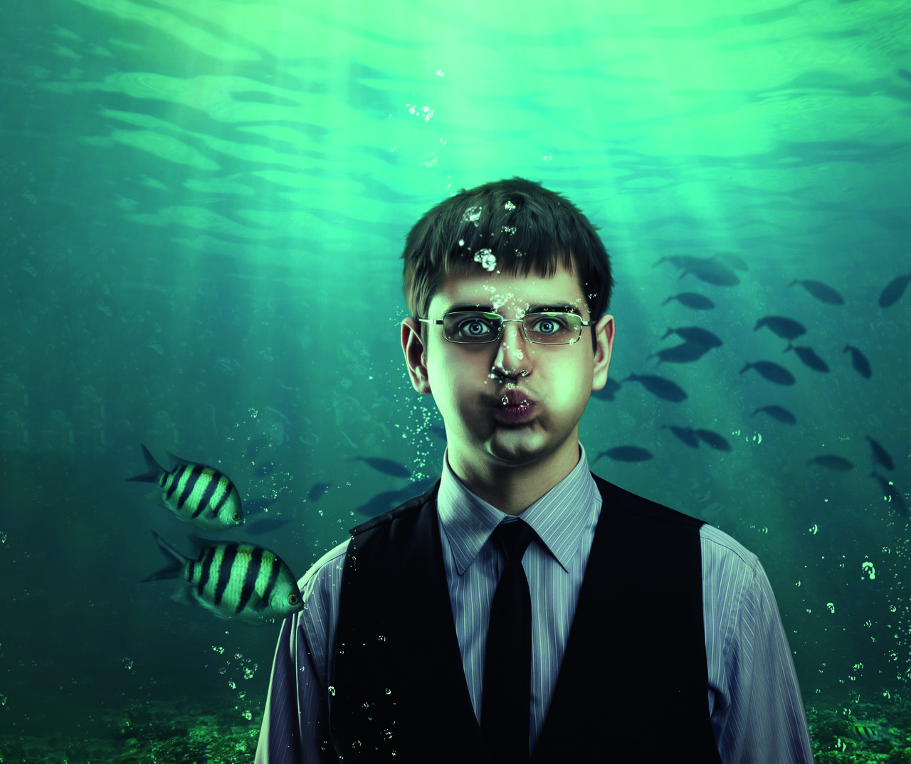 Why the Learning Organization Remains an Illusion