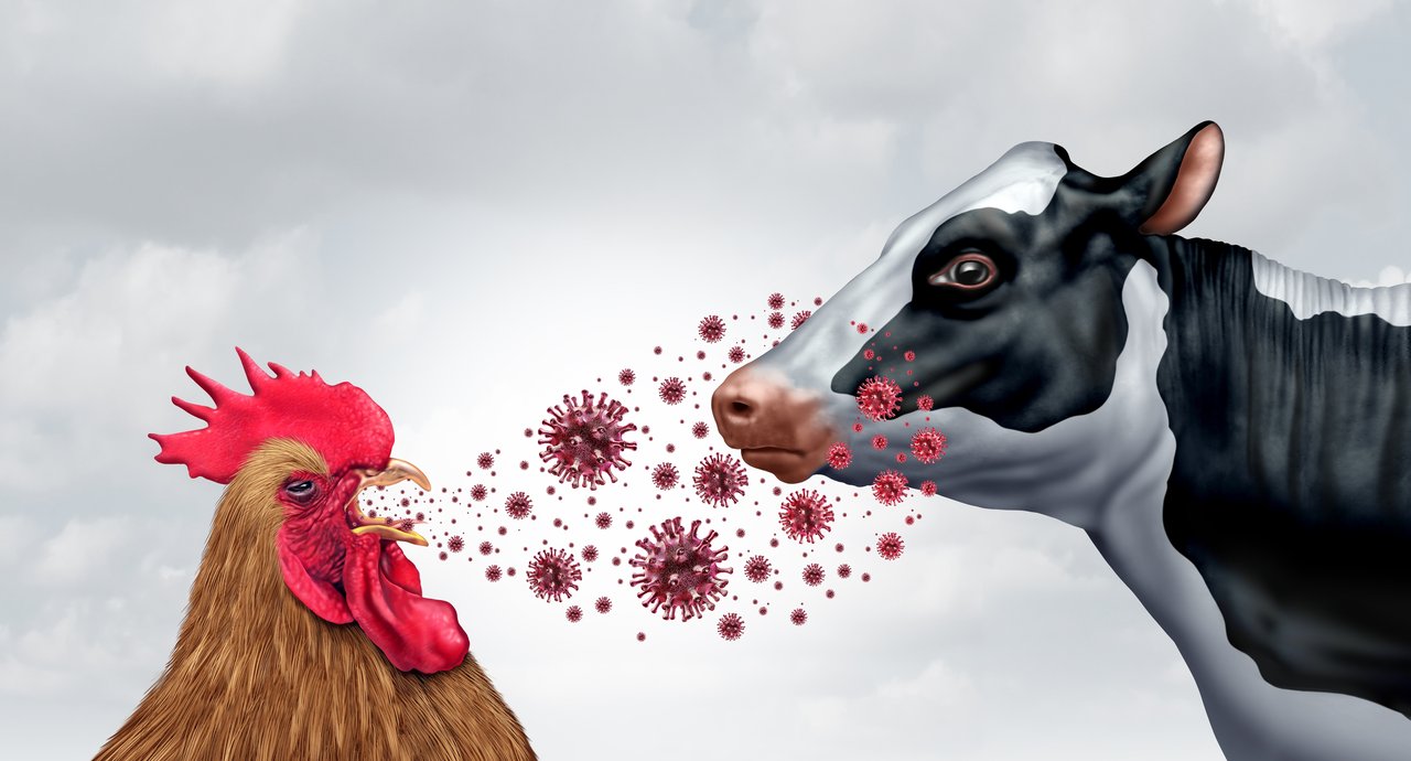 Biosecurity: Kroatien hat aus seinen Fehlern nichts gelernt