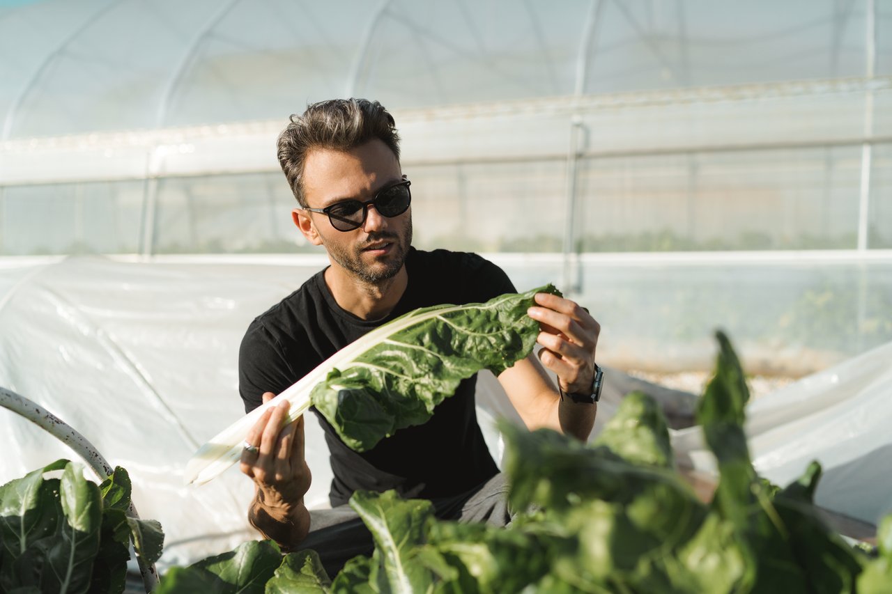 Junge Familienbauern verwandeln die Landwirtschaft in ein Geschäft mit Mehrwert