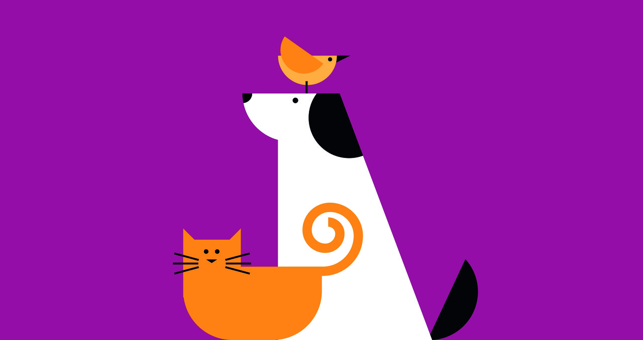 Die grausame Wahrheit über Haustierklonierung