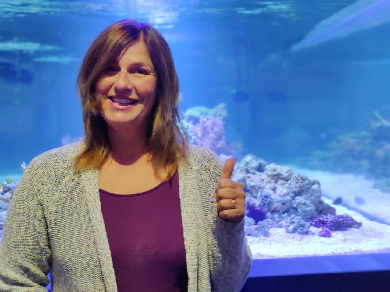 Privates Aquarium in einer historischen Festung: Ein fast unvorstellbares Unterfangen