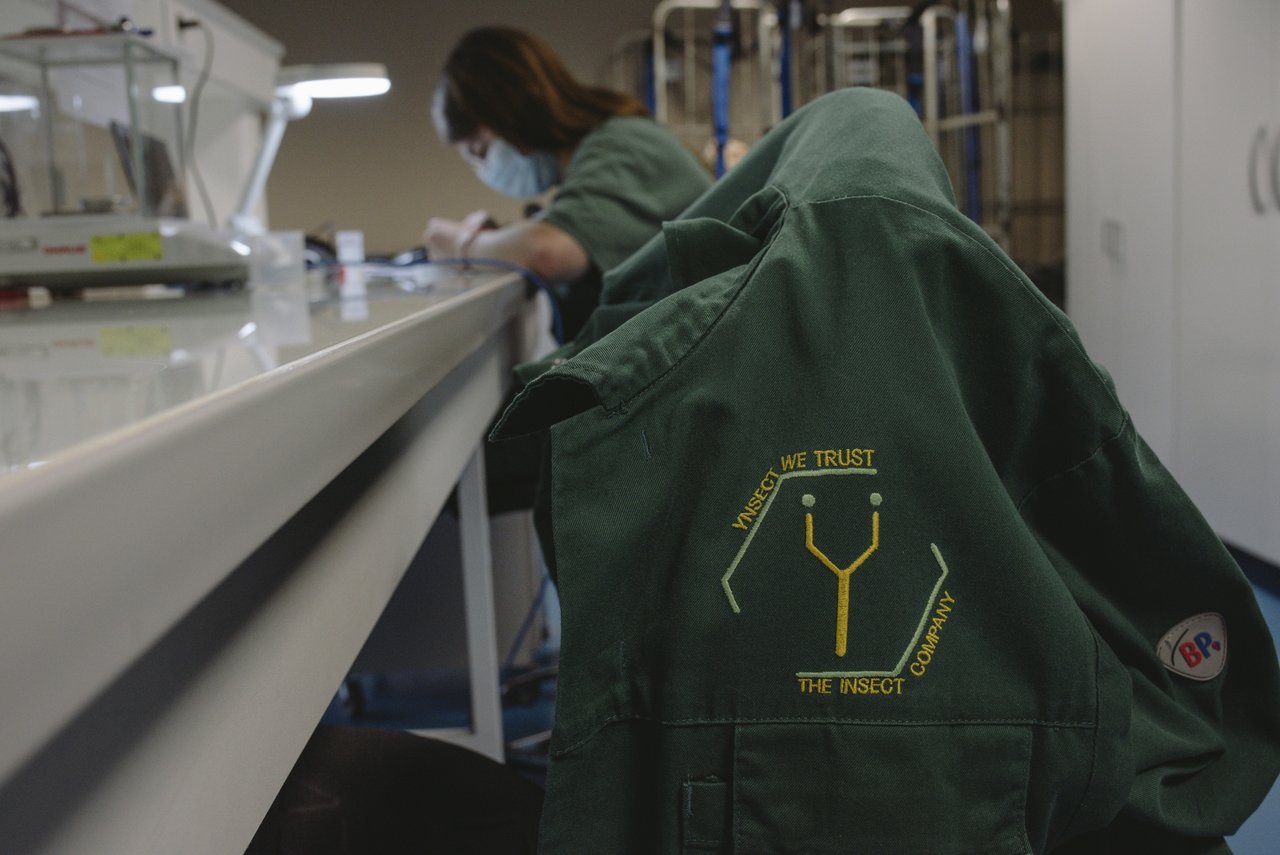 Burned 600 million with the blessing of Iron Man: European insect startup goes bankrupt