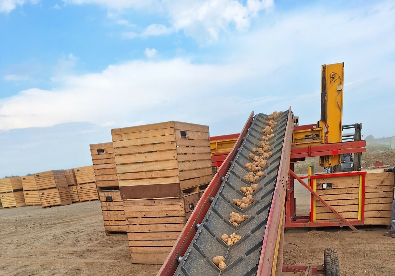 Podravka signs contract with Kanaan to expand potato production in Baranja