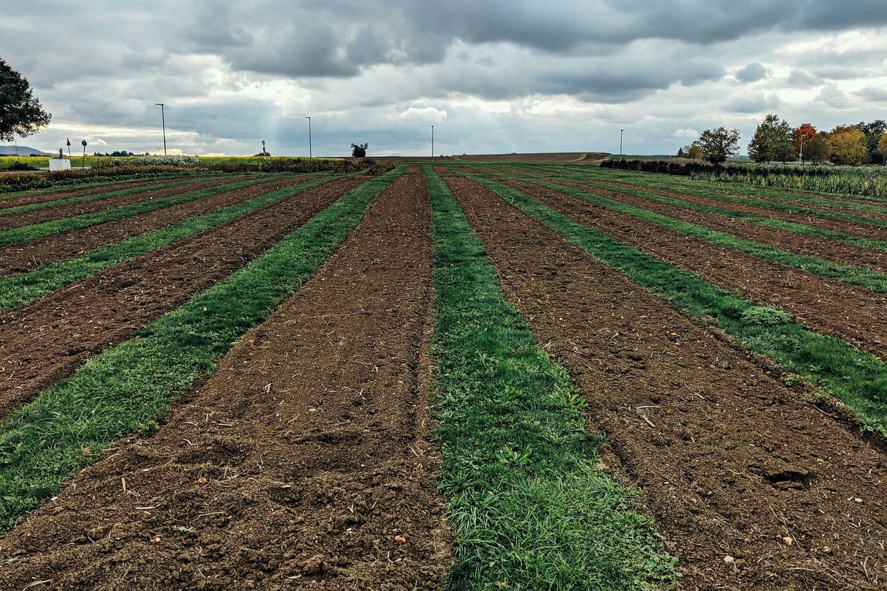 Silent Revolution in the Fields: Agriculture by Subscription is Coming