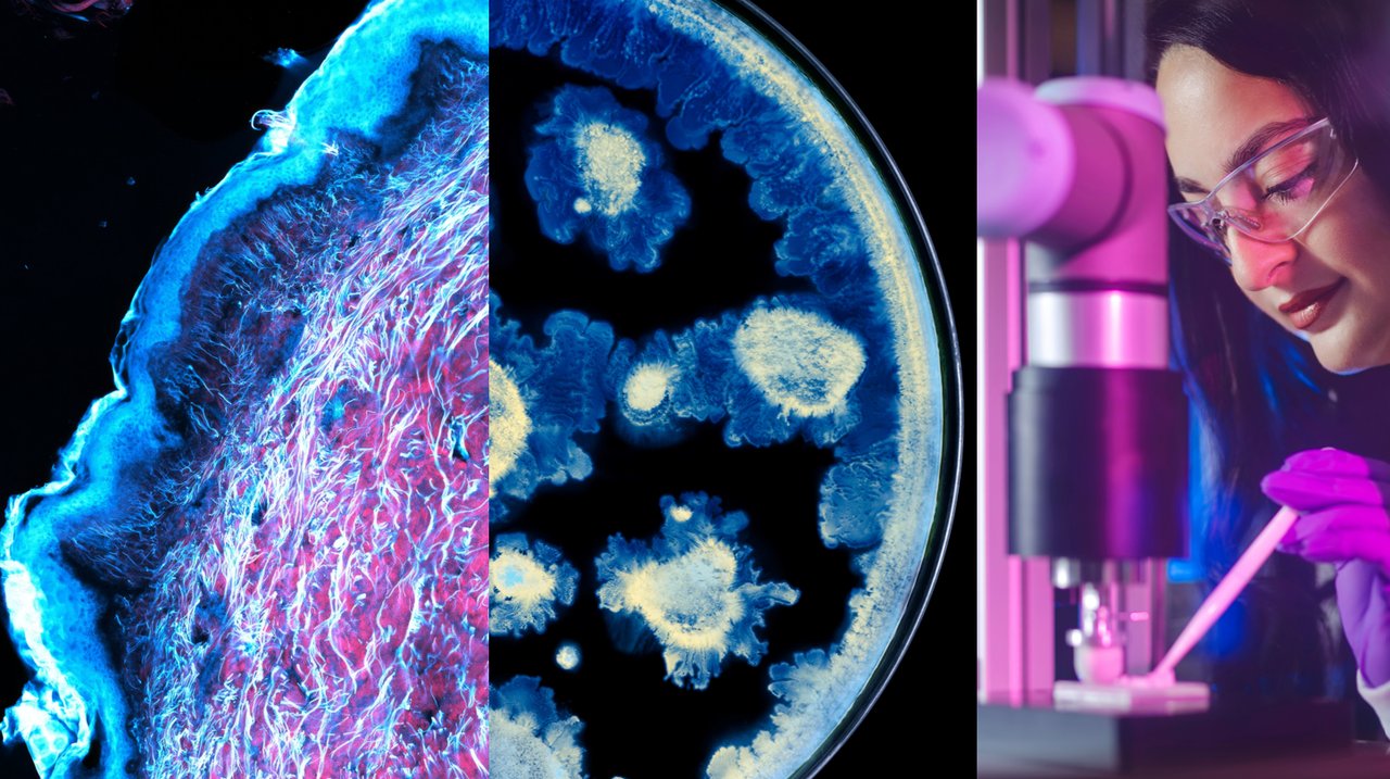The Partnership Between L’Oréal Group and Institut Pasteur Changes the Future of Skin Science