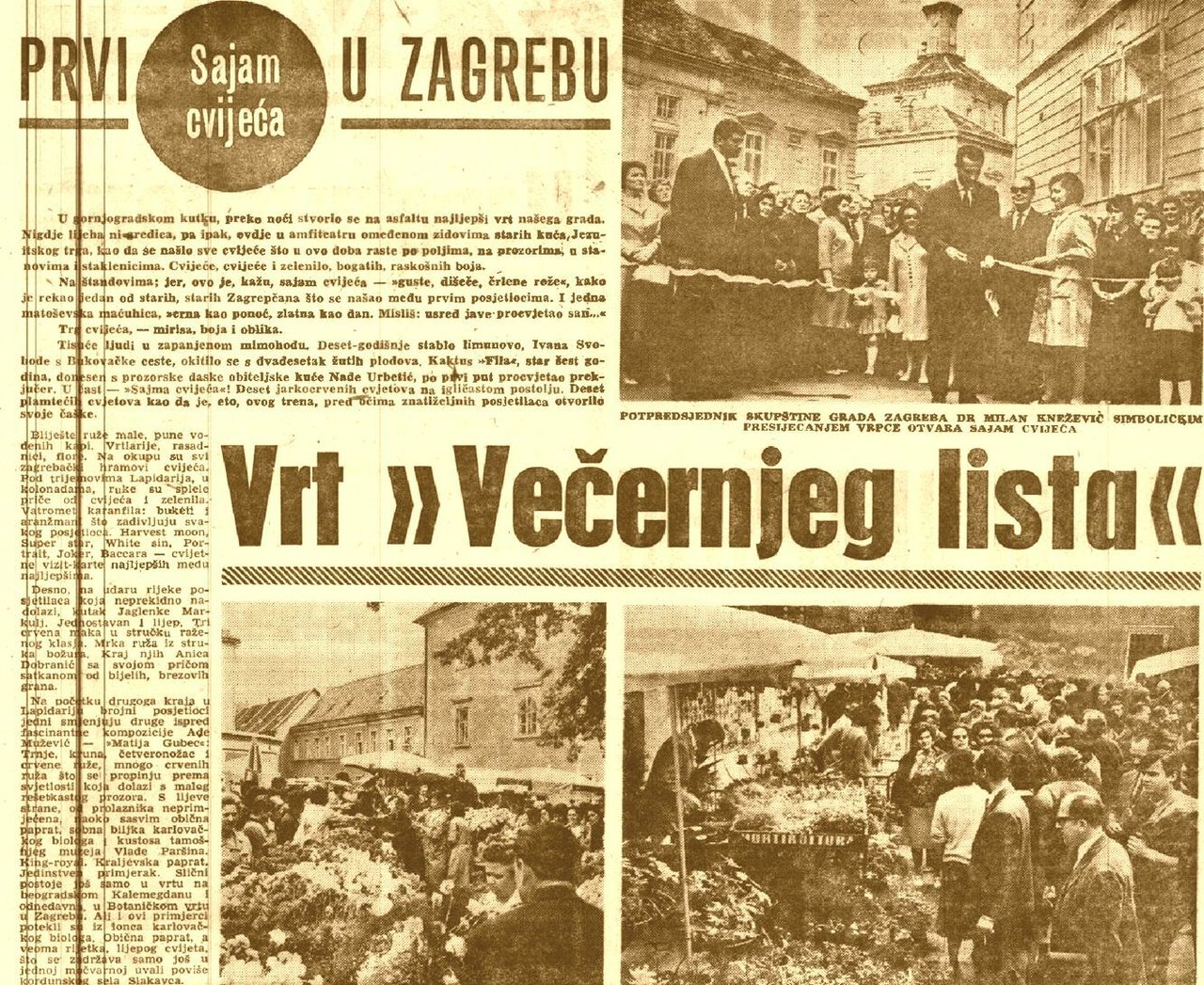 <p>Faksimil izvještaja Večernjeg lista s otvorenja prvog Sajma cvijeća 1966.</p>