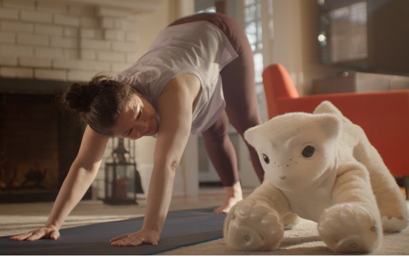 Friend Robots Conquer the World: Against Loneliness and Melancholy