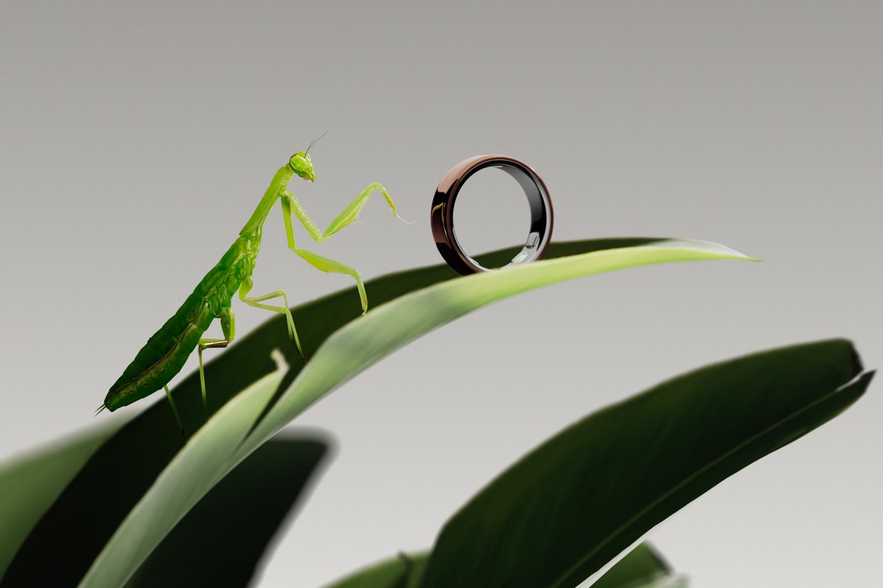 Comment Oura est devenu l&rsquo;anneau intelligent le plus désirable au monde