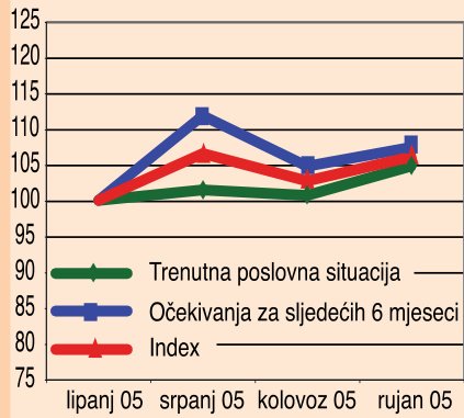 Privatizacija Ine