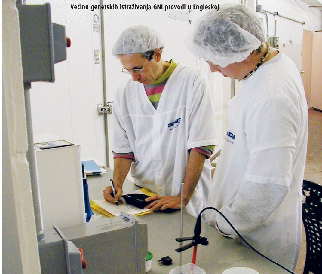 Nova pojava na svjetskoj korporativnoj sceni