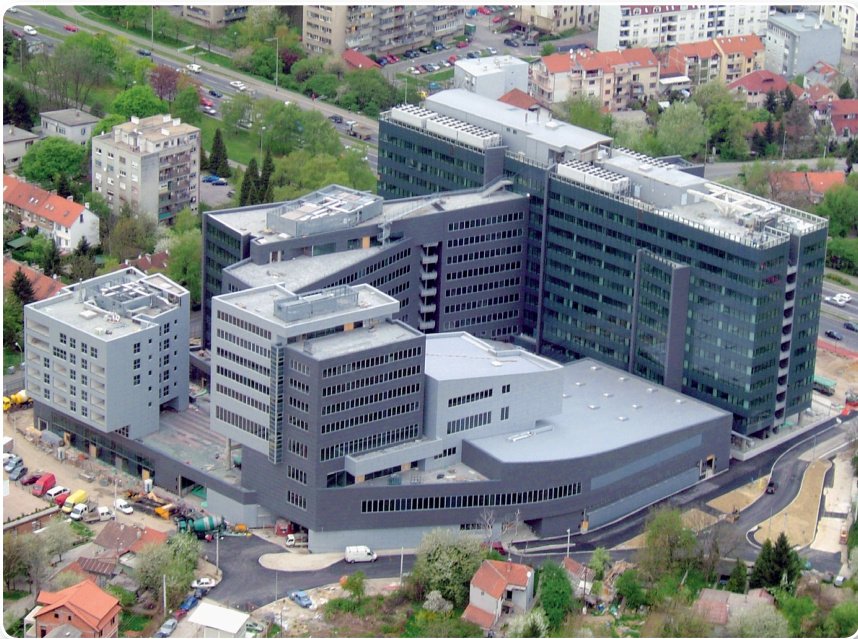 SIMBIOZA bračkog i austrijskog KAMENA