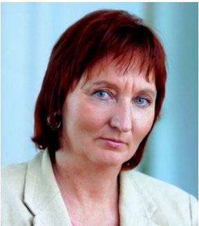 Politička sekcija
