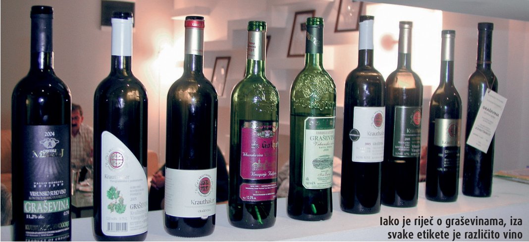 Kušanje graševine u Wine&Gastro akademiji