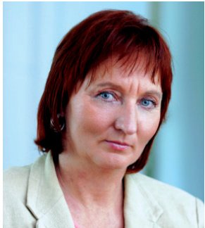 Politička sekcija