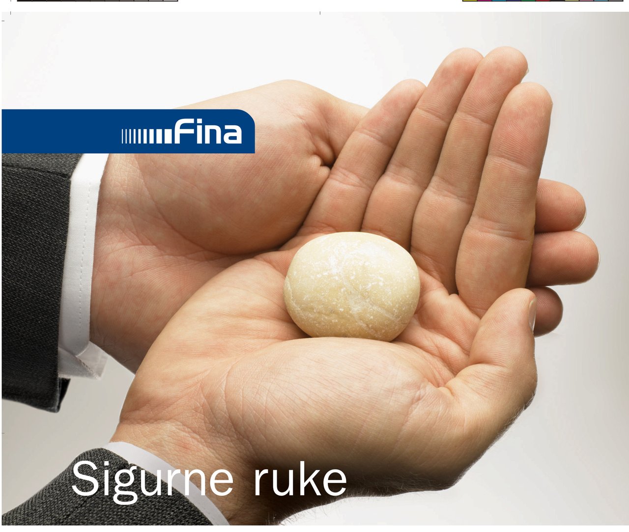 FINA raunovodstveni servis