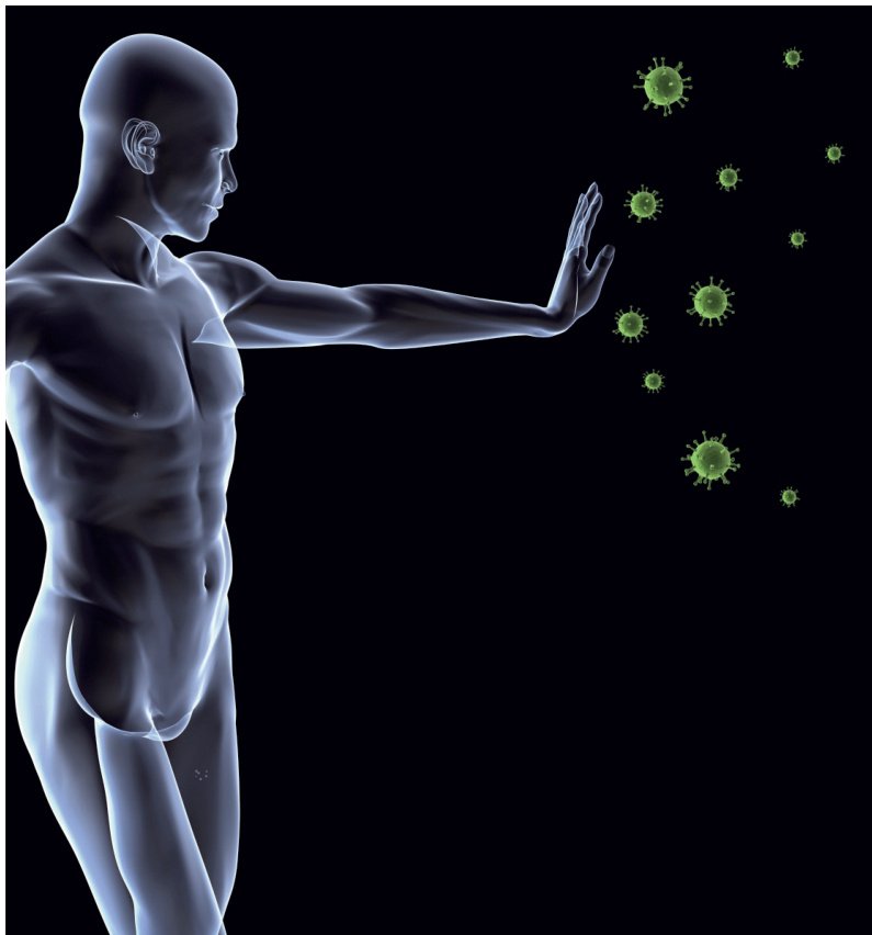 Pravilan rad imunosnog sustava najvažniji je za zdravlje. Može se ojačati zdravim životnim navikama