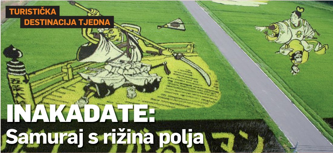 Književnost