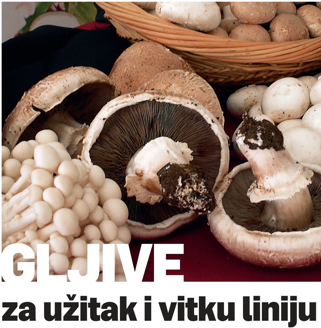 Tjestenina sa šampinjonima i vrganjima