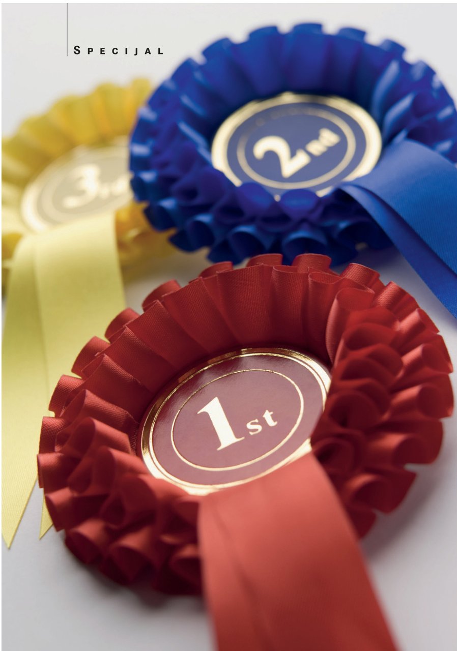 Robert Slavečki, Best Buy