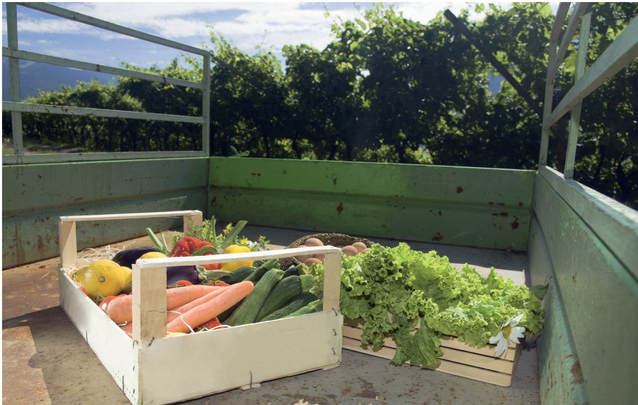 Razvijeni svijet ima najmanje površina pod organskom proizvodnjom