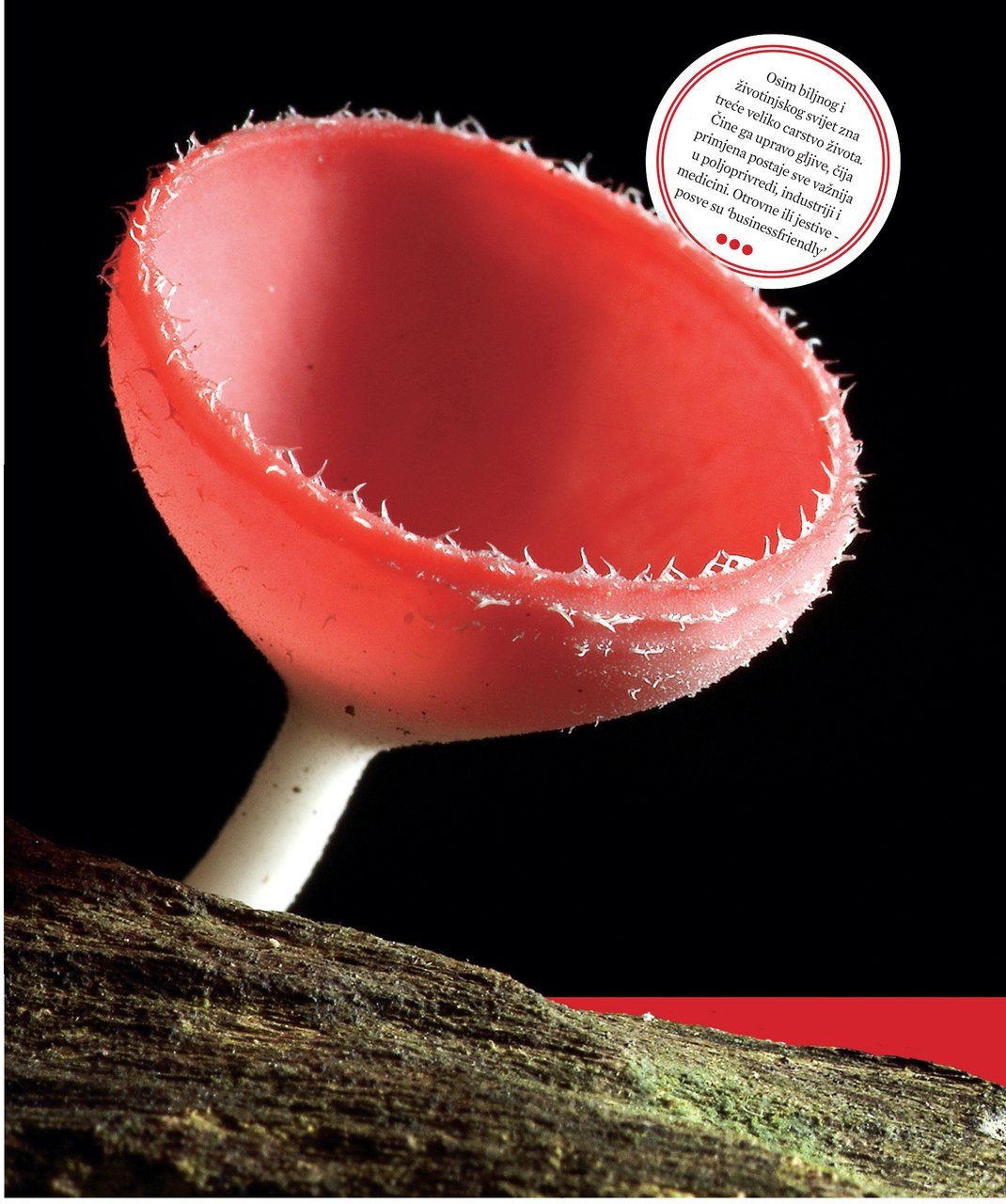 Zgrade u mraku zbog malo useljenih stanova