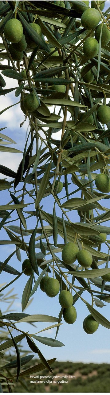 Dražen Miloloža, HGK