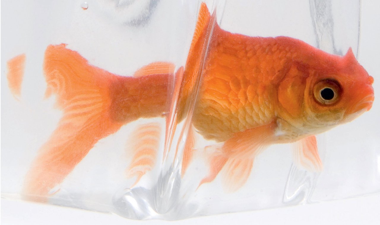 Oglašavanje i s budžetom od 150 tisuća kuna može se ponešto napraviti