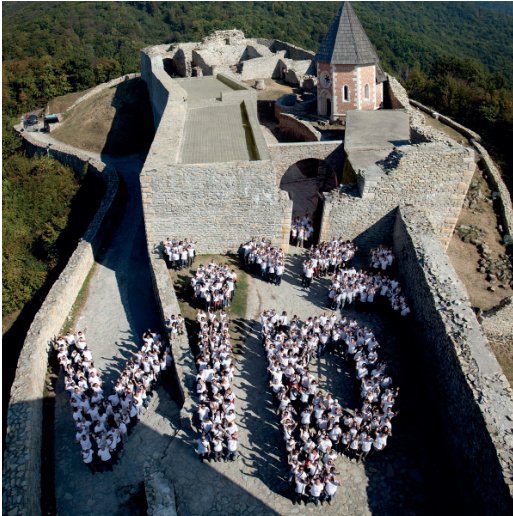 Zeleni VIP-ov ‘team building’