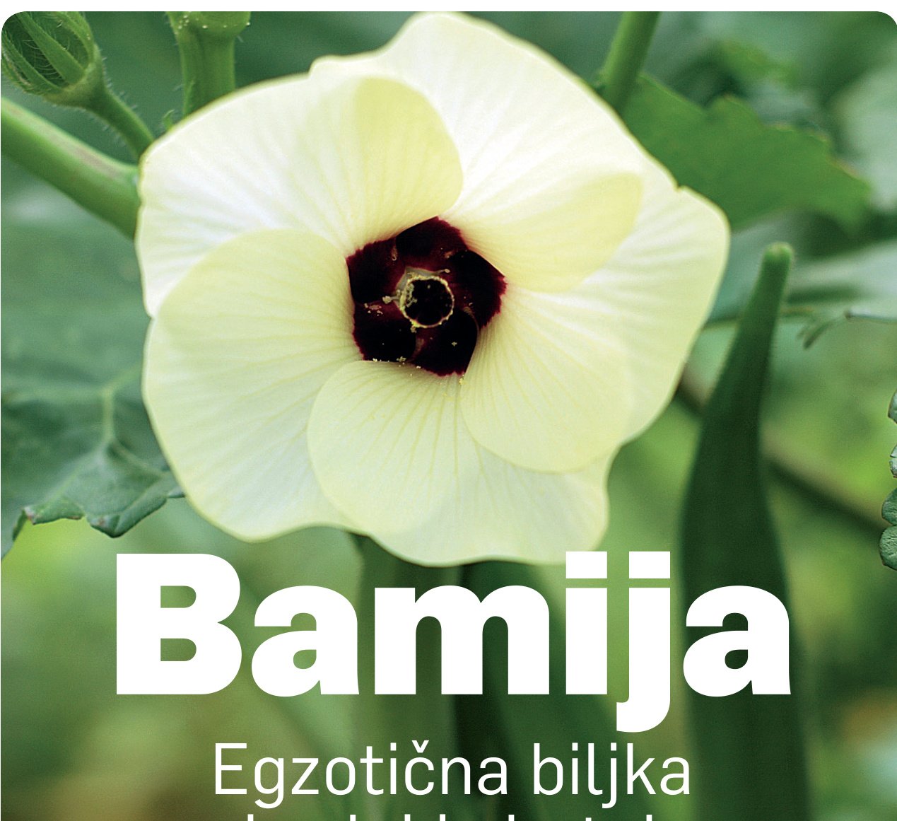 Infrastruktura ima najveći potencijal za suradnju Hrvatske i Britanije