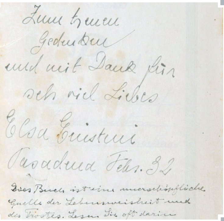 Privlačnost morskih pasa