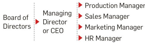 Company Structure