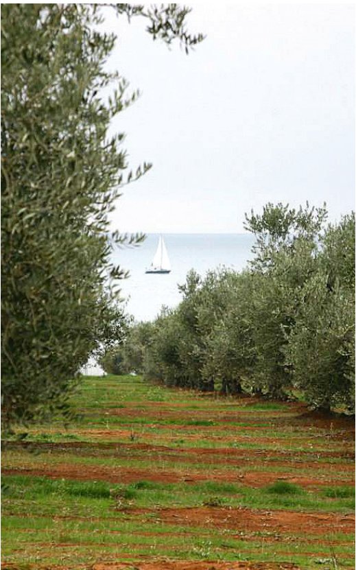 POLJOPRIVREDNO ZEMLJIŠTE