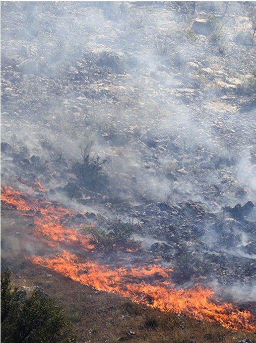 U štetu treba uračunati i podatke o golemoj izmakloj dobiti
