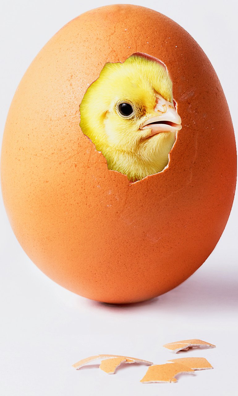 Izvještaj za BBB i Torcidu