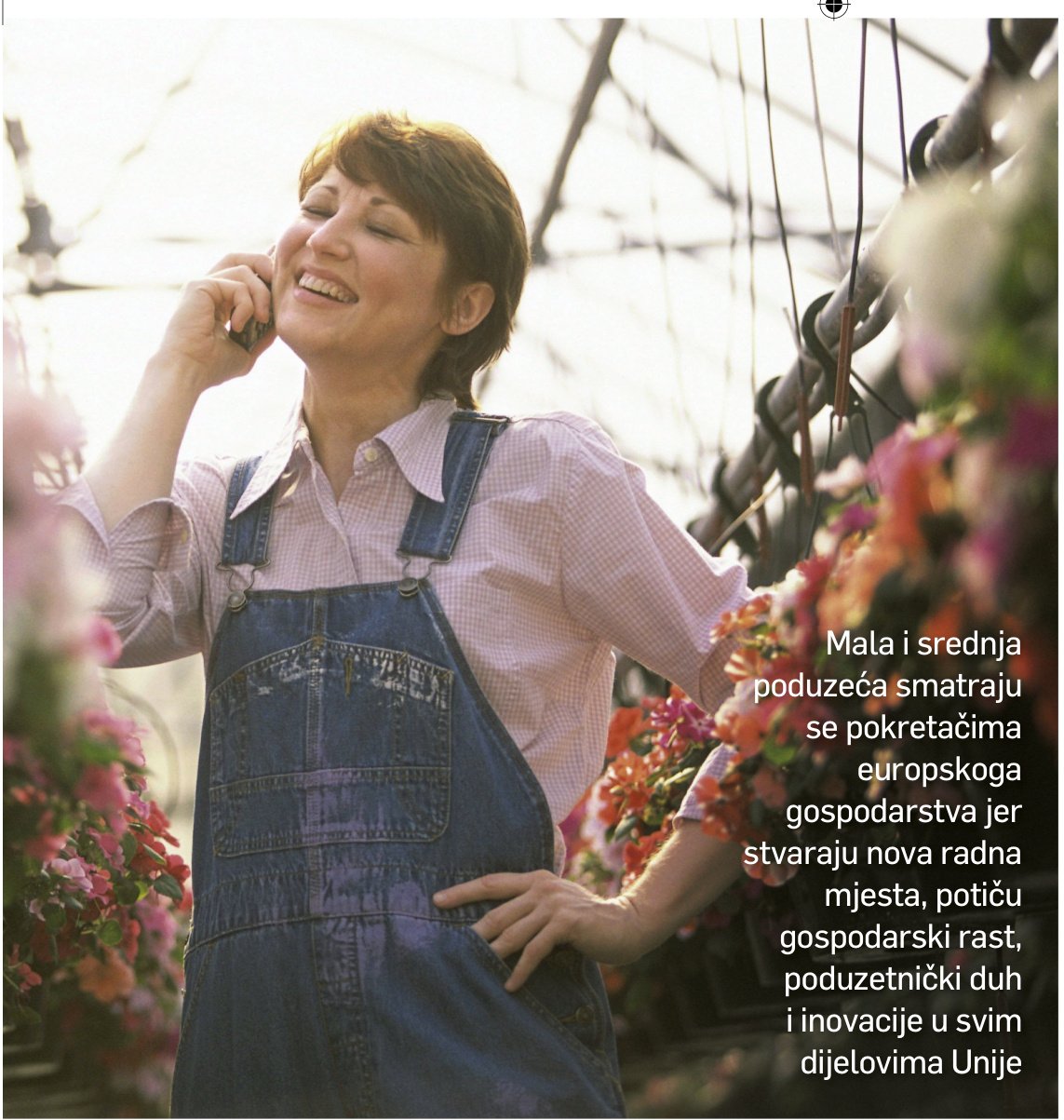 SKRIVENI ŠAMPIONI U godinu dana male i srednje tvrtke izvoz povećale za 5,5 milijardi kuna