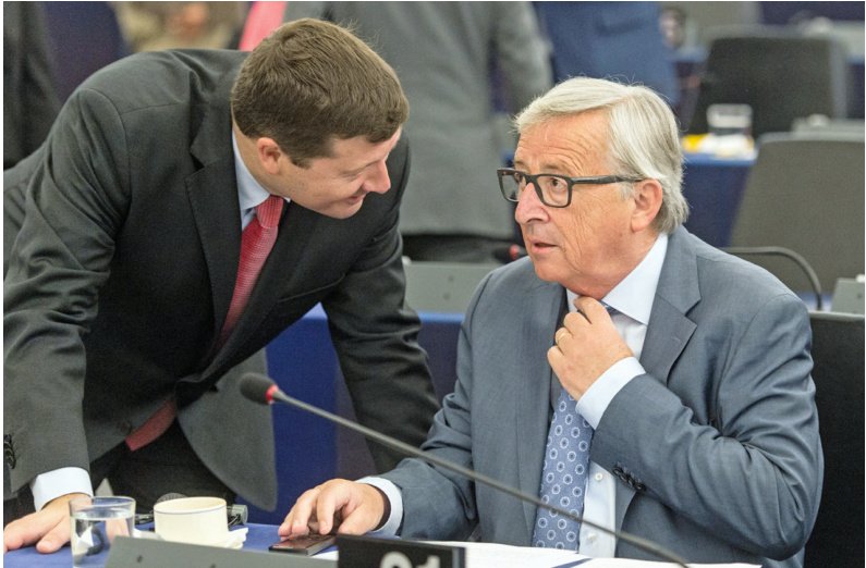 SELMAYR