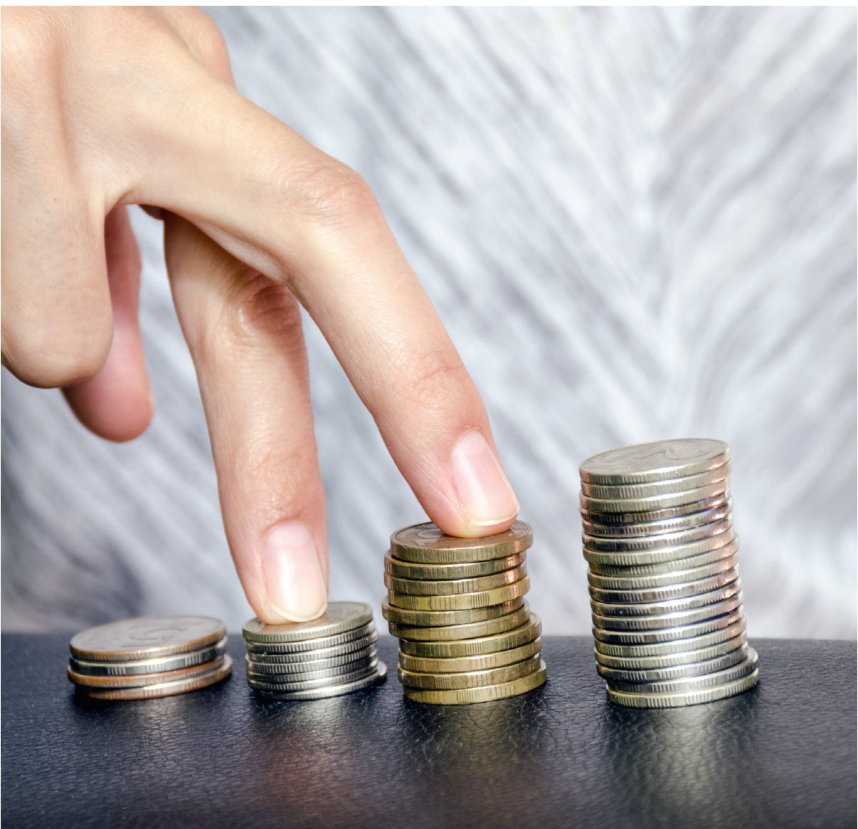 Neprijatelji profitabilnosti