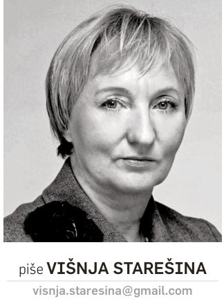Politička sekcija